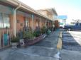 Siesta Motel and Surfside Cabanas image 28