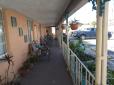 Siesta Motel and Surfside Cabanas image 29